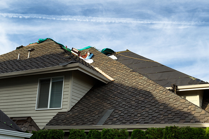 Should You Repair or Replace Your Roof?