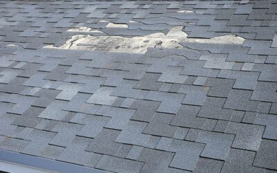 Storm Damage to Your Roof? Here are the Signs