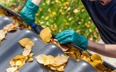 Time to Clean Your Gutters? Here’s a Few Tips