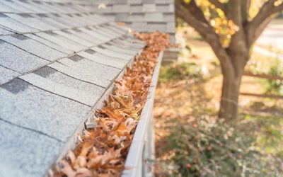 The Impact of Clogged Gutters