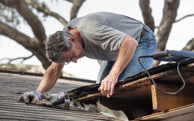 Have Seasonal Storms Damaged your Roof?