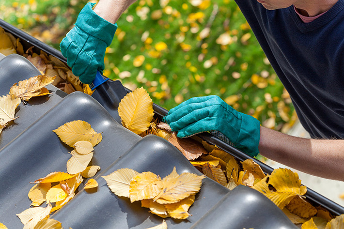 Have You Mastered Your Gutter Maintenance?