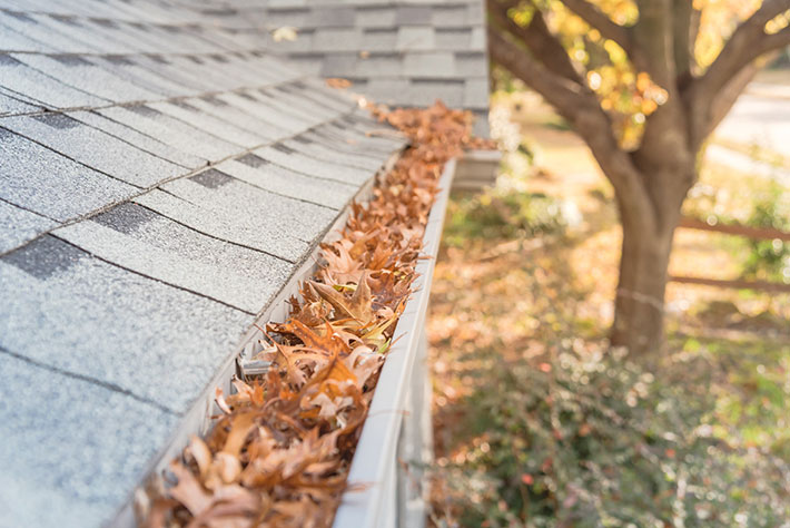 What Gutter Guards Can Do for Your Home