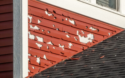 Signs You Should Replace Your Siding