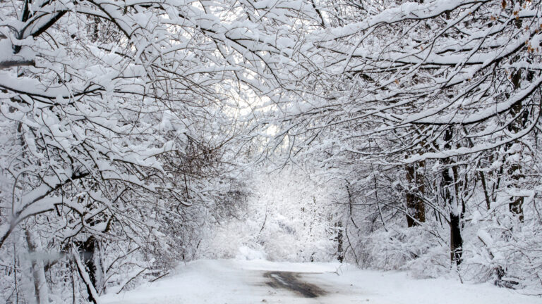 snowy road