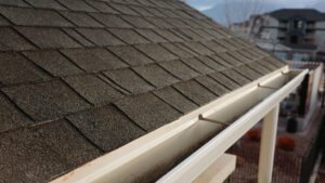 Photo of a house's roof and gutter