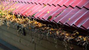 Leaves and sticks clogging a residential gutter